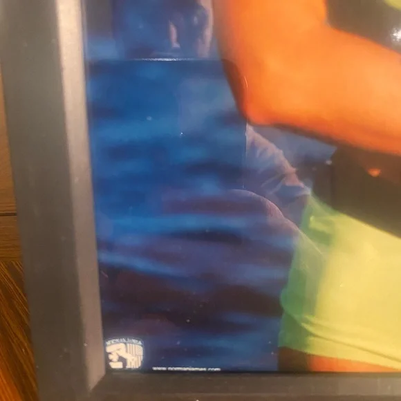 WWF Rare Original Sable Swimsuit 8”x 10” Photo Framed - Picture 3 of 6